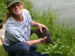 Competities HSV Alfheim